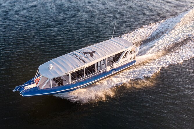Gold Coast Whale Watching Cruise - What a two-and-a-half-hour cruise feels like