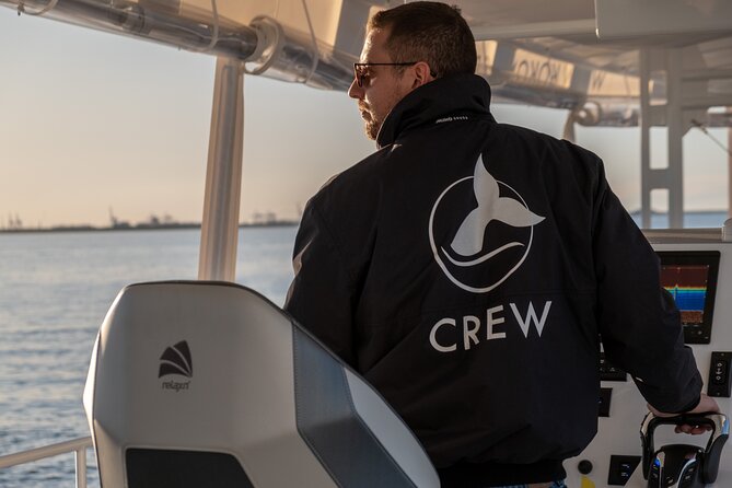 Gold Coast Whale Watching Cruise - Is the $63.12 price good value?