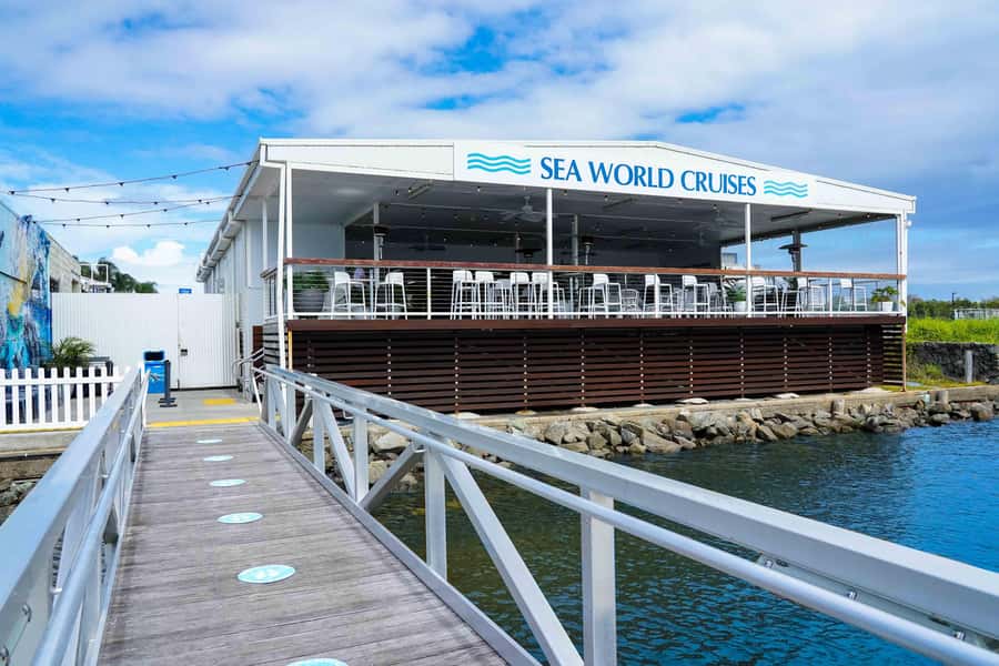 Gold Coast: Whale Watching Cruise & Sea World Entry - Key points to know before booking