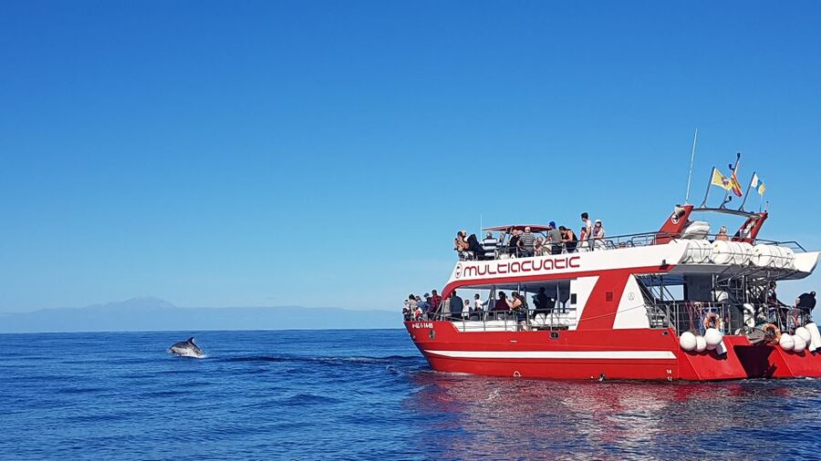 Gran Canaria: Dolphin and Whale Watching Cruise - What the Puerto Rico departure is really like