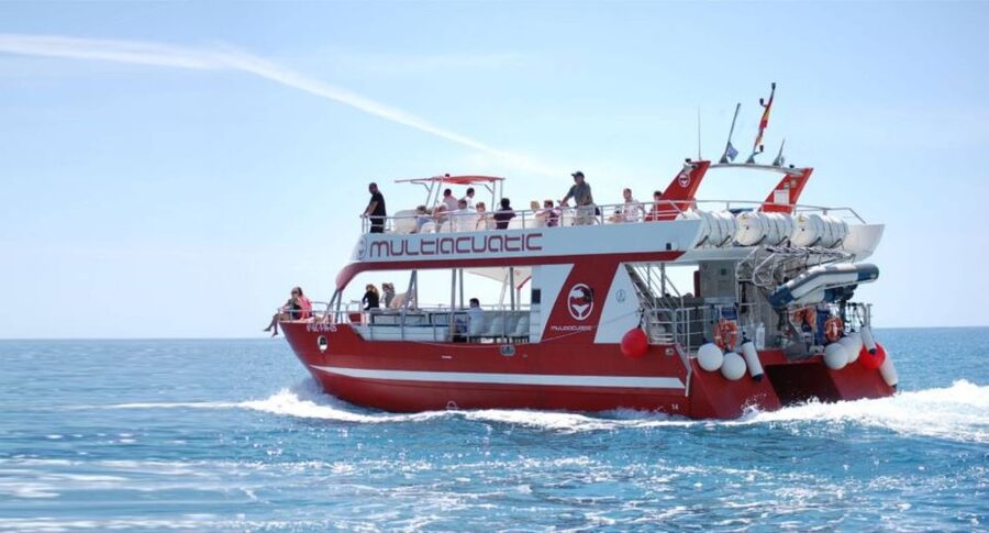 Gran Canaria: Dolphin and Whale Watching Cruise - Sailing aboard the Multiacuatic catamaran