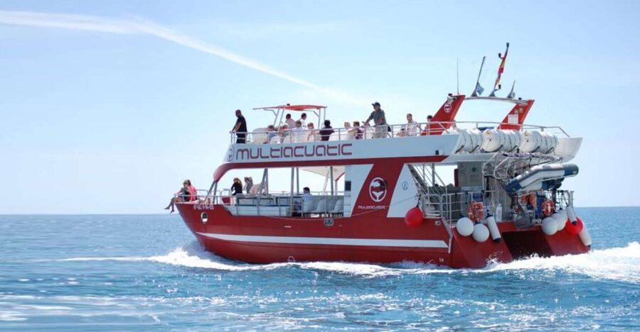 Gran Canaria: Dolphin and Whale Watching Cruise - Setting out from Gran Canaria’s southwest coast