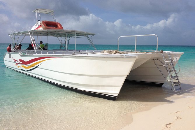 Grand Turk: Whale Watching - Learning from a marine biologist