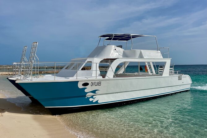 Grand Turk: Whale Watching - Timing for cruise passengers and island visitors