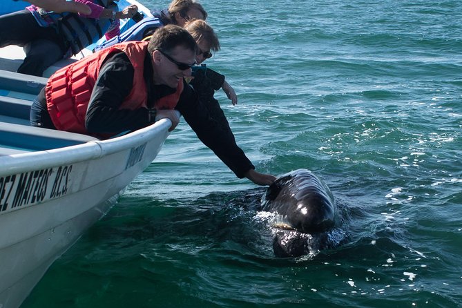 Gray Whale-Watching 2-Day Experience in Magdalena Bay - Day one: the road from Cabo to López Mateos