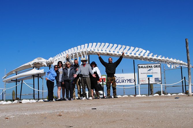 Gray Whale-Watching 2-Day Experience in Magdalena Bay - Guides, photography, and the style of the outing
