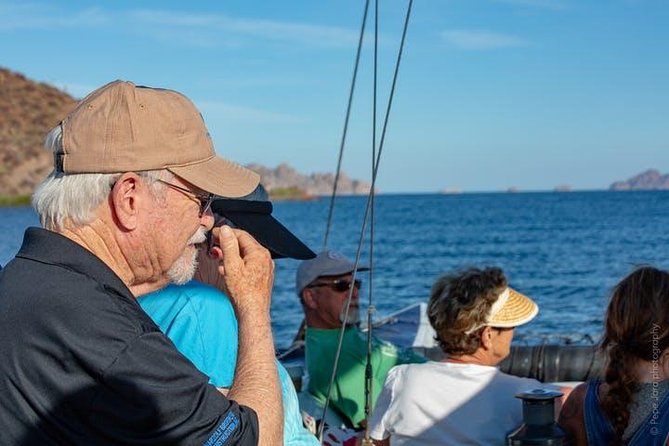 Gray Whale Watching Tour at Lopez Mateos - Why Magdalena Bay is worth the long morning