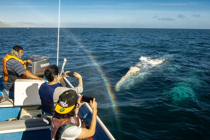 Gray Whale Watching Tour with Marine Biologist and Small Group - Why Puerto Chale makes this a full-day outing