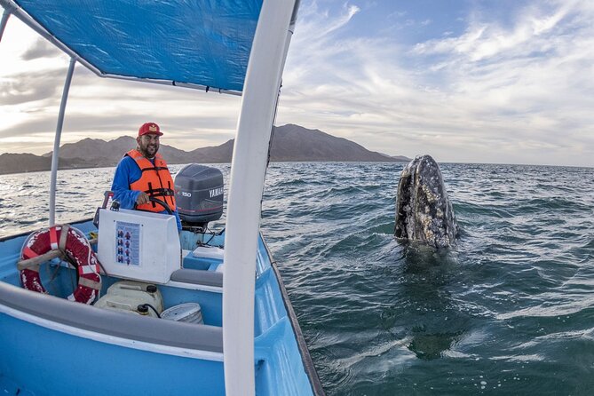 Gray Whales Watching in Magdalena Bay - A Mexican breakfast breaks up the drive