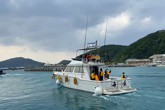 Great Whale Watching at Kerama Islands and Zamami Island - The whale behavior you may see