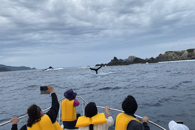 Great Whale Watching at Kerama Islands and Zamami Island - The crew and the small-group feel