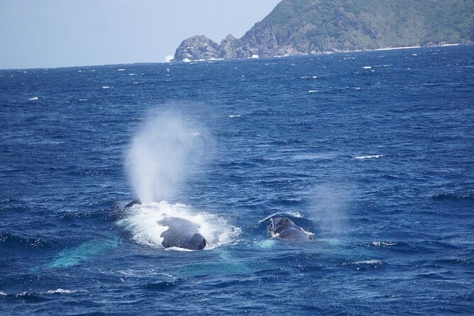 Great Whale Watching at Kerama Islands and Zamami Island - Getting to the port from Naha