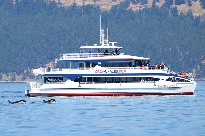 Guaranteed Whale Watch Tour from Anacortes - Why Anacortes is a smart starting point