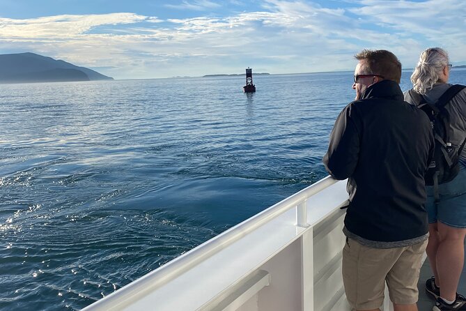 Guaranteed Whale Watch Tour from Anacortes - Other whales and marine life