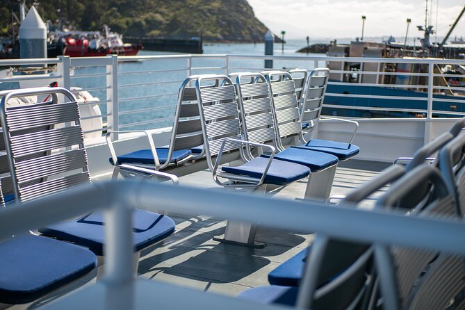 Guaranteed Whale Watch Tour from Anacortes - What the scenery adds to the trip