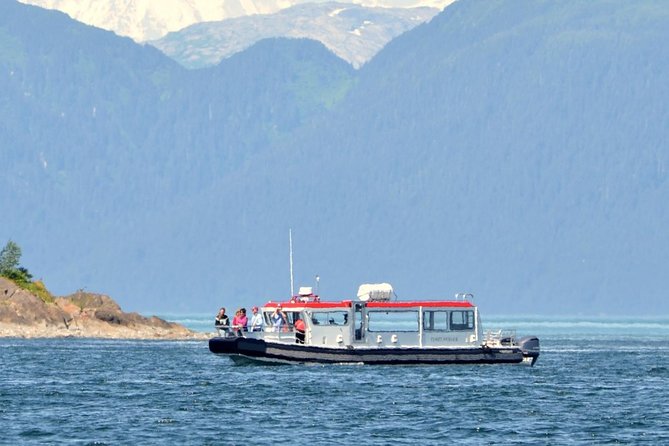 Guaranteed Whale Watching Adventure - Why Point Adolphus makes this cruise special