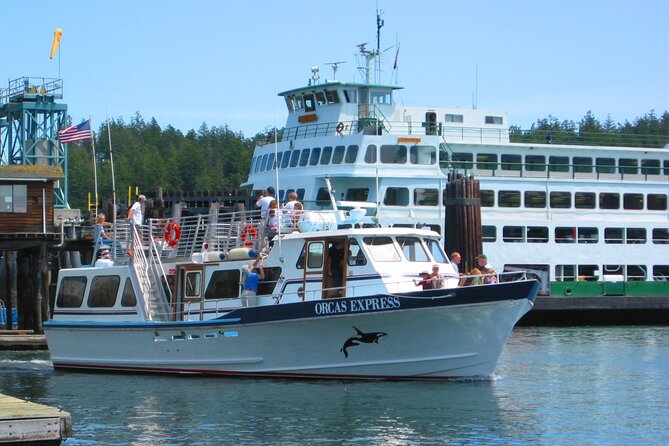 Guaranteed Whale Watching Tour - The ferry issue deserves serious planning