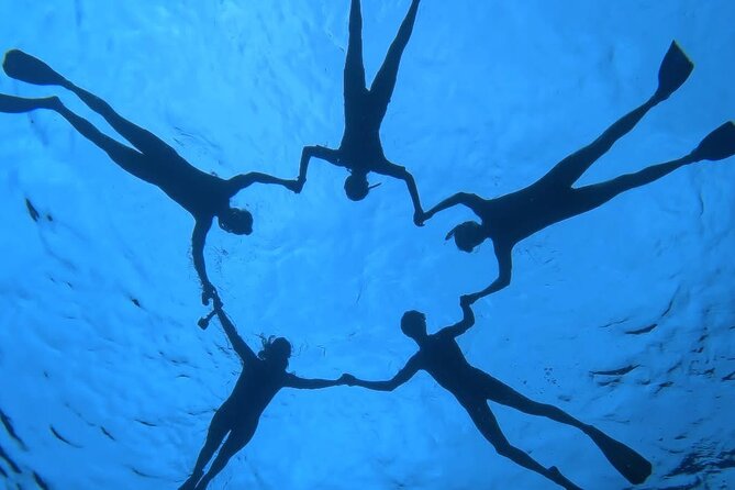 Guided Small Group Whale Watching and Swim Tour Tahiti - The backup stops can save a day without whales