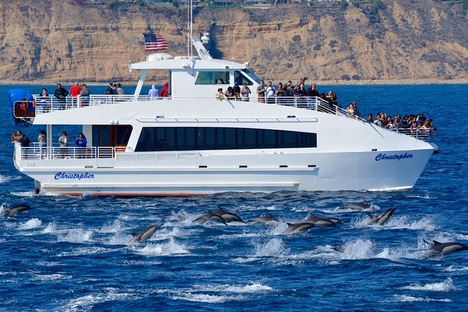 Guided Whale Watching Tour from Long Beach - How good are the whale sightings?