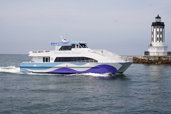 Guided Whale Watching Tour from Long Beach - Choosing your seat and your departure time