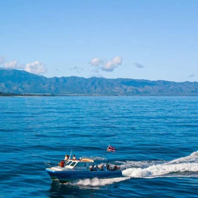 Haleiwa: North Shore Whale Watching Tour by Catamaran - Who will enjoy this North Shore outing?
