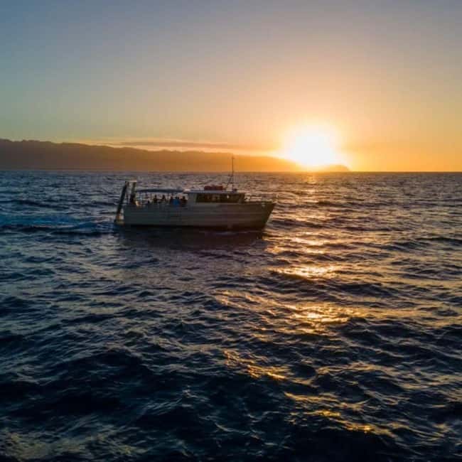 Haleiwa: North Shore Whale Watching Tour by Catamaran - Practical planning for the day