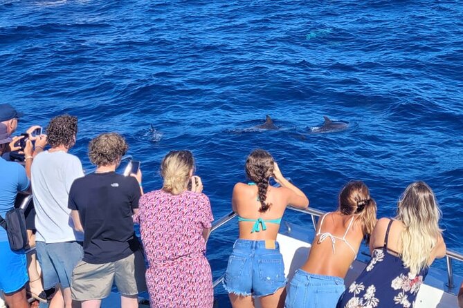 Half-Day Cruise Tour-Dolphin and Whale Watching - Setting out from Puerto Rico Marina