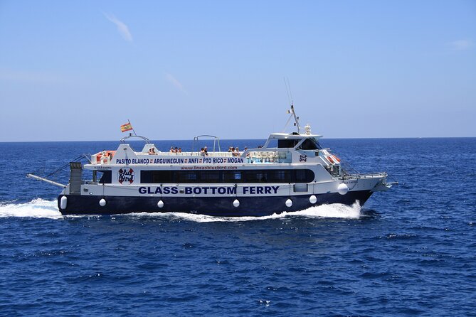 Half-Day Cruise Tour-Dolphin and Whale Watching - The boat, crew, and onboard comfort