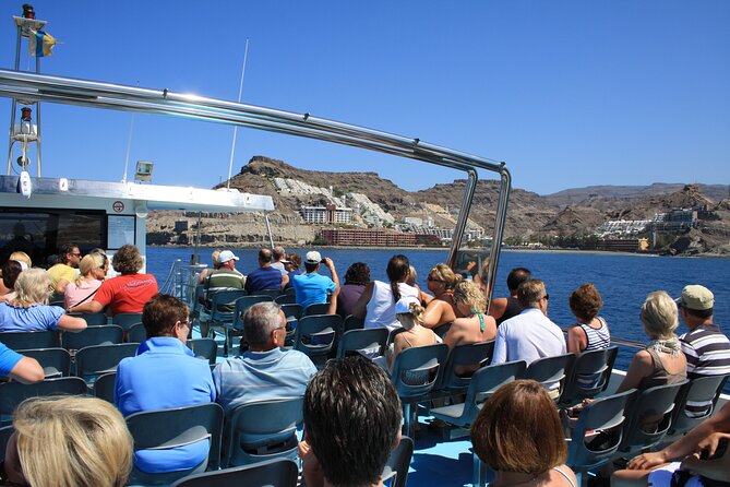 Half-Day Cruise Tour-Dolphin and Whale Watching - Hotel pickup from southern Gran Canaria