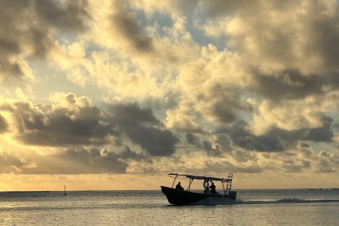 Half-Day Humpback Whales Encounter in Moorea - Searching the coast for humpback whales