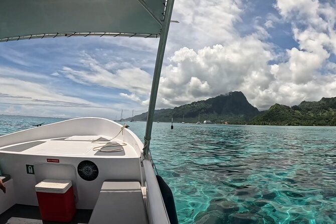 Half-Day Humpback Whales Encounter in Moorea - Entering the water, only when conditions allow