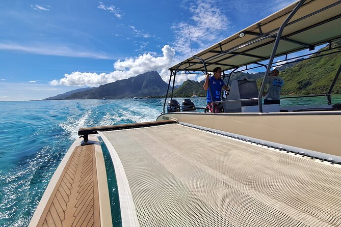 Half-Day Humpback Whales Encounter in Moorea - Wildlife rules are central, not decorative