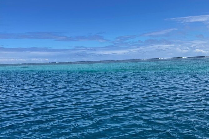 Half-Day Humpback Whales Encounter in Moorea - How much value do you get for $236.85?