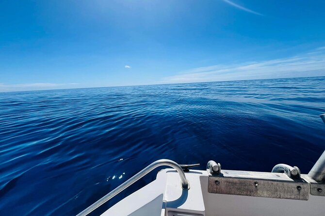 Half-Day Humpback Whales Encounter in Moorea - Who should book this Moorea experience?