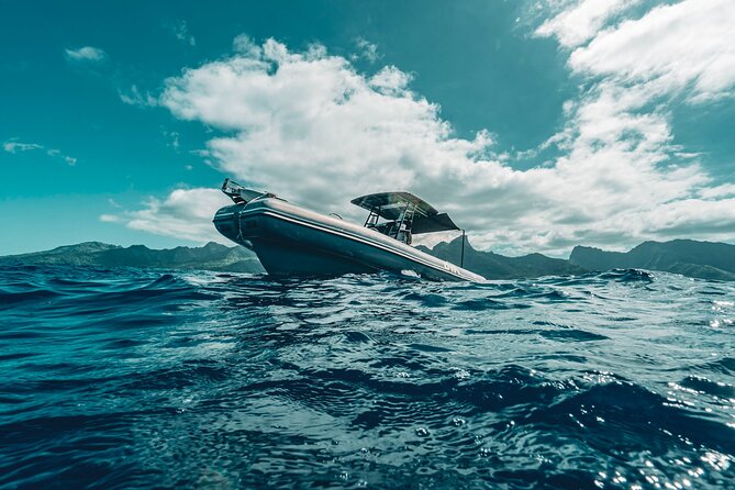 Half Day Private Whale Watching in Moorea - Four private hours on Moorea’s whale waters