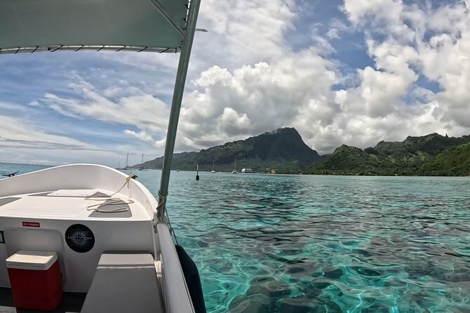 Half Day Private Whale Watching in Moorea - What you may see beyond whales