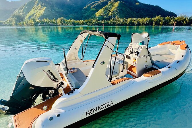 Half Day Private Whale Watching in Moorea - A good choice for honeymoons and small groups