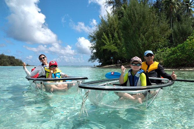 Half Day Small Group Whale Watching - Who should book this Moorea whale tour?