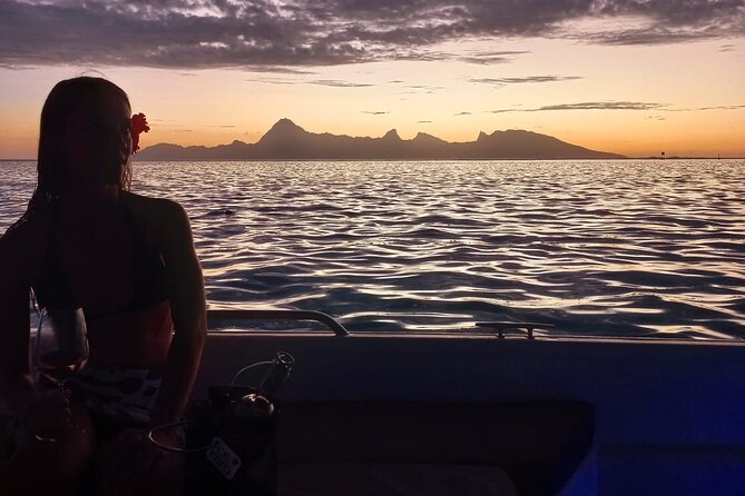 Half Day Whale Watching in a Small Shared Group - Snorkeling, turtles, and the reef stop