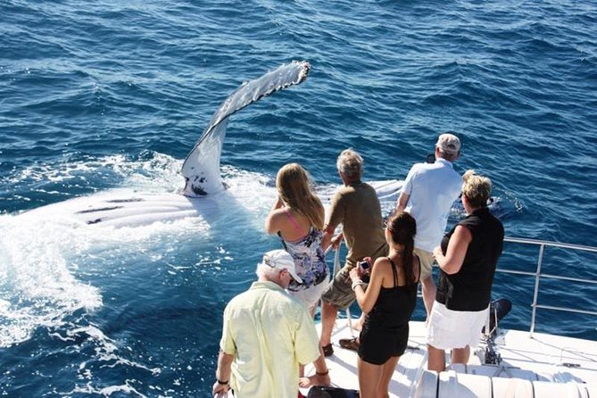 Half-Day Whale Watching Sunset Cruise from Broome - Key points to know before you book