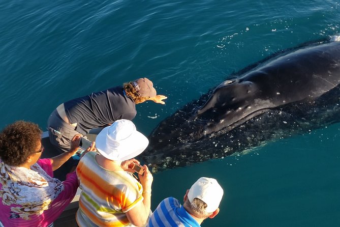 Half-Day Whale Watching Sunset Cruise from Broome - Sunset over the return journey