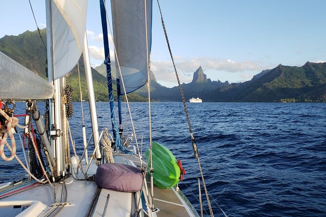 Half day whale watching - Without launch - What changes during whale season