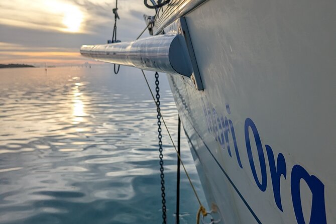 Half day whale watching - Without launch - Is $558.73 a fair price?