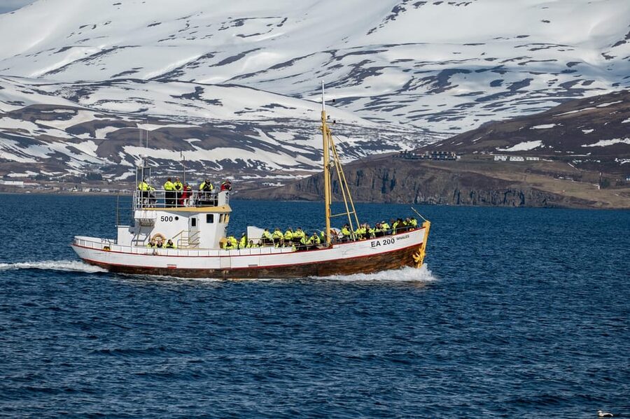 Hauganes: Whale Watching North Iceland - The food and clothing make a real difference