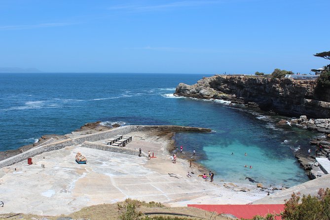 Hermanus and Whale Route Trike Tour from Cape Town - Hermanus, whales, and lunch by the sea