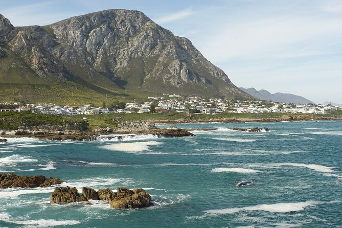 Hermanus Land based Whale Tour with Dave de Beer - Why Hermanus is made for shore-based whale watching