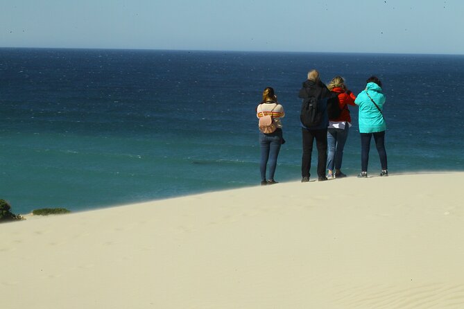 Hermanus Land based Whale Tour with Dave de Beer - Understanding whale behavior instead of chasing a sighting