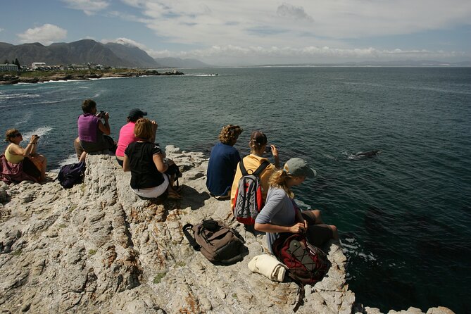 Hermanus Land based Whale Tour with Dave de Beer - Two hours above Walker Bay with Dave de Beer
