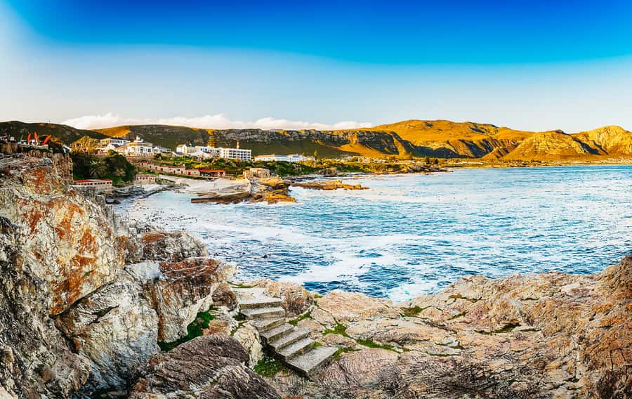 Hermanus: Whale and Dolphin Watching Boat Trip - What is included for $98