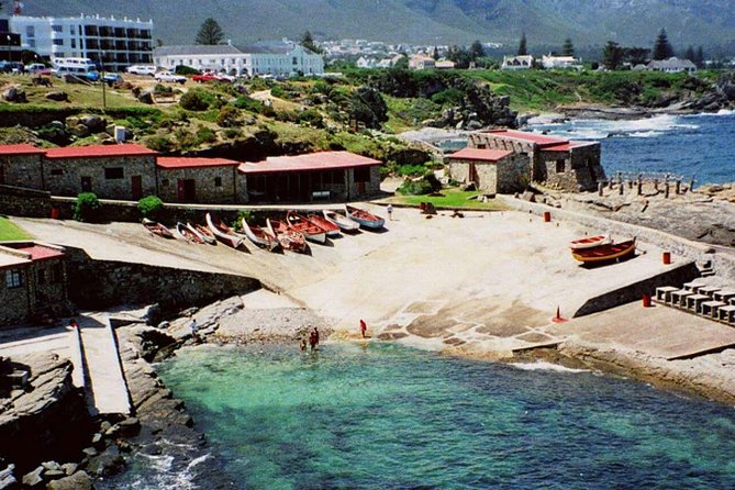 Hermanus Whale Coast Wine Tour (Cape To Grape Wine Tours) - Why this wine route makes sense from Cape Town